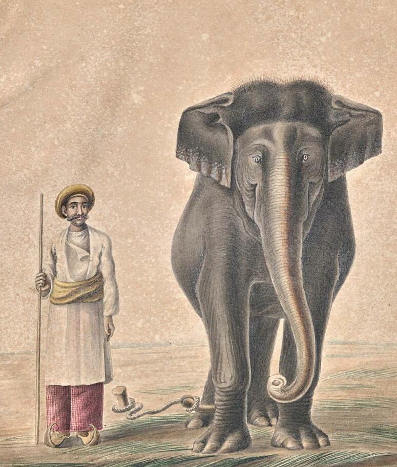 Painted Snapshots of Everyday India